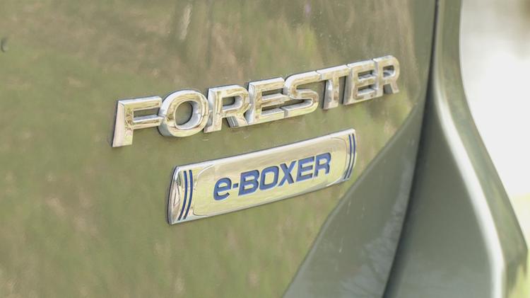 forester_estate_106272.jpg - 2.0i e-Boxer XE 5dr Lineartronic